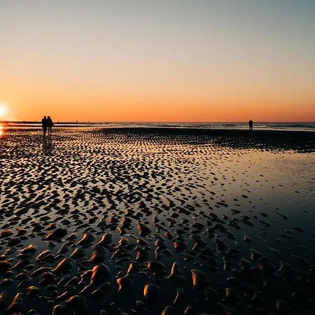 Guadeloupe 오스텐드